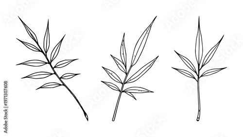 Hemp leaf set with minimalist black line art design featuring cannabis, marijuana, botanical with organic and herbal elements