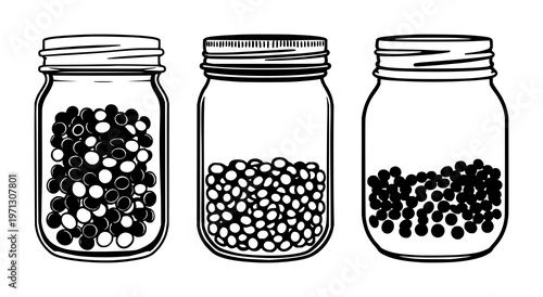 Mason jar set with simple black line art style featuring lentils, legumes, seeds with dry food and glass container