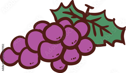 vector illustration of grapes