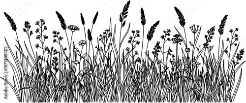 grass line art silhouette vector illustration
