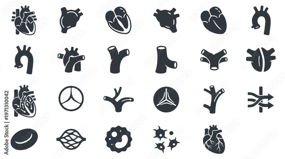 Fototapeta premium Medical Cardiology Anatomy Glyph Icons Set - Human Heart, Blood Vessels, Circulatory System
