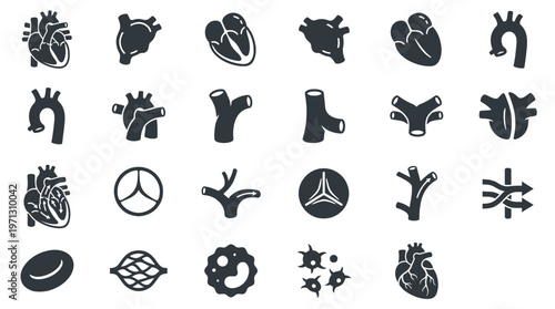 Medical Cardiology  Anatomy Glyph Icons Set - Human Heart, Blood Vessels, Circulatory System