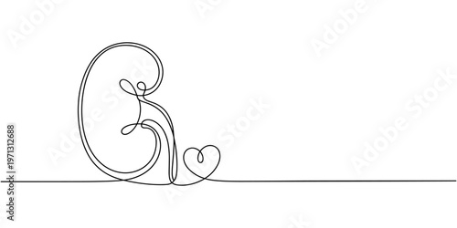Single line drawing of human kidneys with heart symbol for health and love
