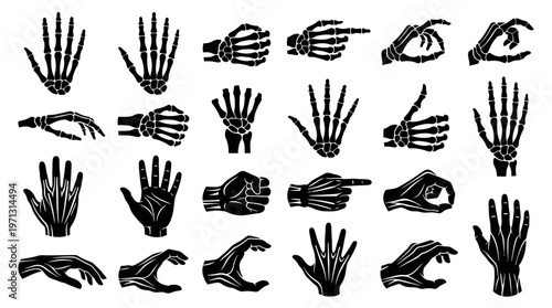 Medical Anatomy Human and Skeletal Hand Gestures Black Silhouette Icons Set