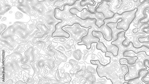 Topography background. Vector banner. Topography map background. Vector geographic contour map. Background of the topographic map. Topographic map lines, contour background. 