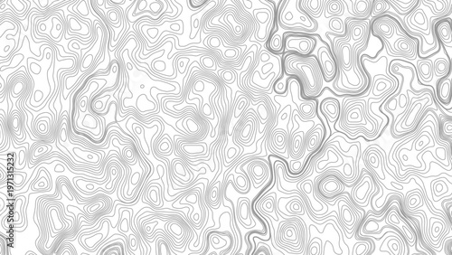 Topography background. Vector banner. Topography map background. Vector geographic contour map. Background of the topographic map. Topographic map lines, contour background. 