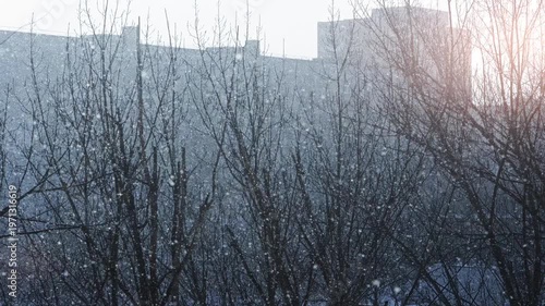 Peaceful Winter Morning Scene. Serene Winter Cityscape Illuminated By Soft Golden Morning Light