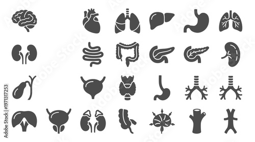 Medical Human Organs Glyph Icons Set. Anatomy and Healthcare Flat Silhouette Vector Collection.