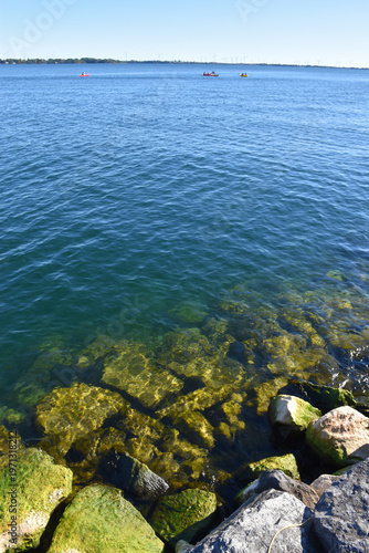 The river in summer, Ontario, Canada