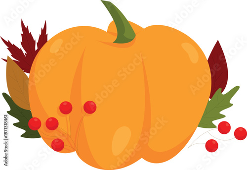 vector illustration of a tomato