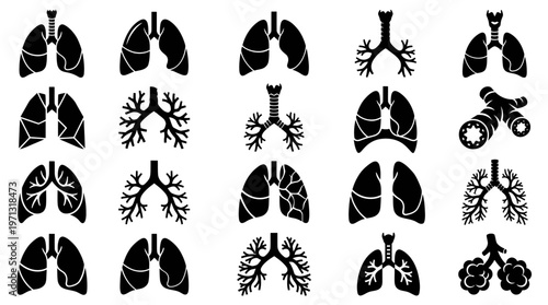 Medical Respiratory System Anatomy Glyph Icons Set: Lungs, Bronchi, Trachea, Alveoli