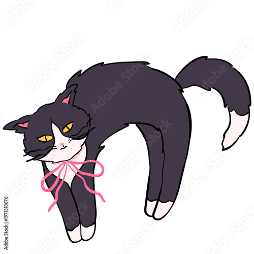 Hand-drawn Tuxedo Cat Arched Back Illustration