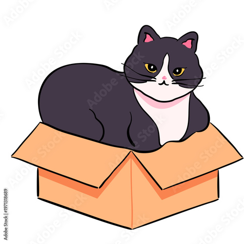 Hand-Drawn Tuxedo Cat in a Cardboard Box Illustration