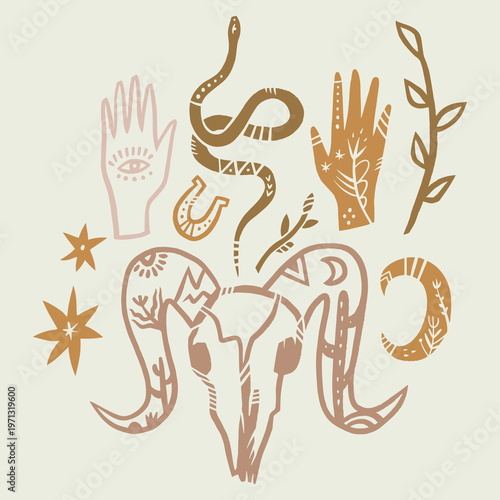 Minimalist western boho illustration set featuring mystical bull skull, snake, horseshoe, plants and celestial symbols. Flat design in spiritual cowgirl style, perfect for reiki healing branding, wild