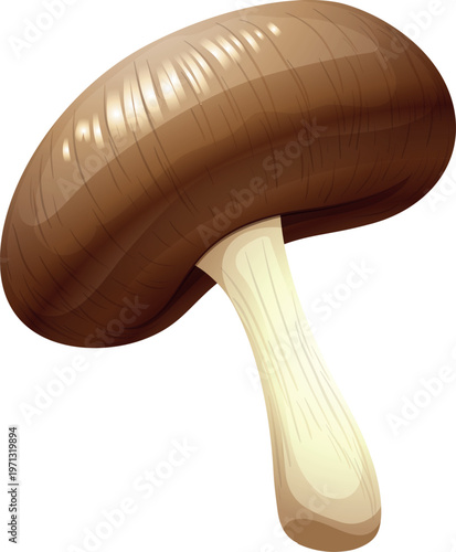 mushroom isolated on white background