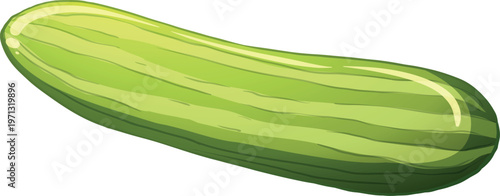 green cucumber on white background