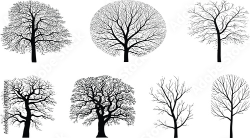 Collection of seven diverse tree silhouette illustrations showing branching patterns, canopy shapes, natural diversity, seasonal variations, and artistic design elements for graphics
