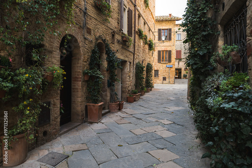 Pienza Tuscany Italy narrow street with stone buildings and plants
