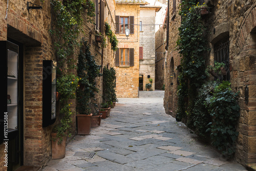 Pienza Tuscany Italy narrow street with stone buildings and plants