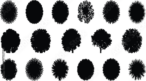 Collection of twenty diverse tree silhouette illustrations in grid layout, showcasing foliage patterns, canopy shapes, botanical diversity, seasonal variations, and design elements