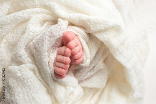Newborn baby feet wrapped in a soft white blanket