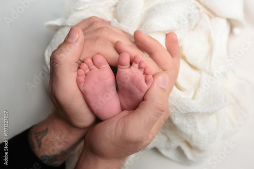 Newborn Baby Feet in Adult Hands
