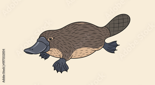 Charming illustration of a platypus swimming, showcasing its unique bill, webbed feet, and a thick beaver-like tail.