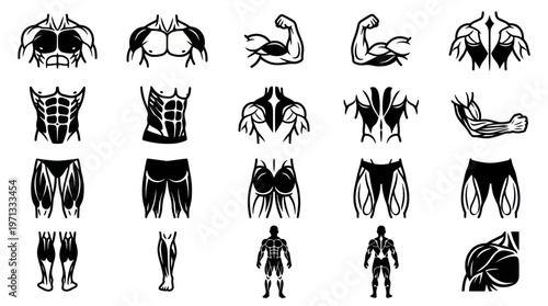 Fitness Bodybuilding Human Muscle Anatomy Icons Set - Black  White Glyphs Vector Art