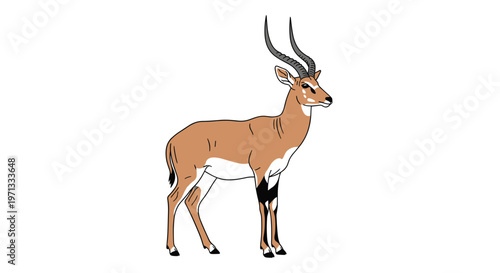 Side view illustration of a gazelle or impala with long curved horns standing on a plain white background in vector style.