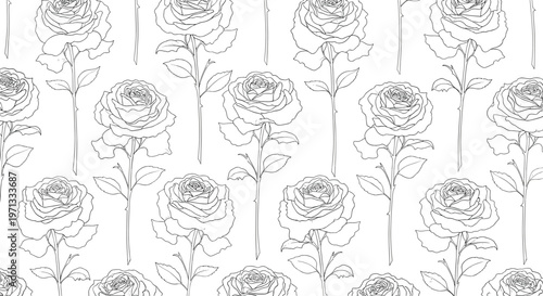 Elegant seamless pattern featuring hand drawn rose flower line art sketches arranged in a repetitive botanical design.