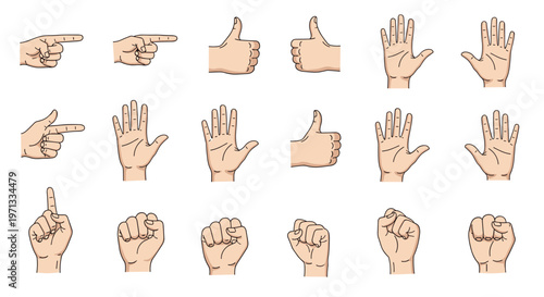 Human hand gesture set showing various signs like pointing, thumbs up, open palm, and clenched fist for communication.