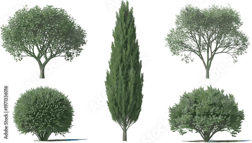 Collection of various green trees and garden bushes including cypress and deciduous species isolated on white background for landscape architecture and outdoor park design.