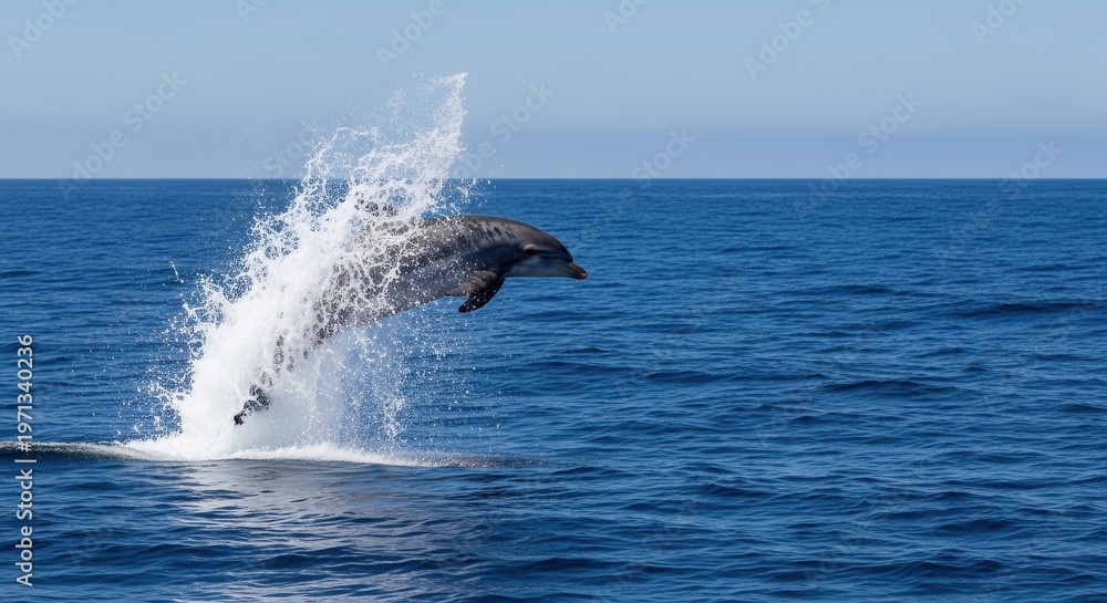 Fototapeta premium Graceful Dolphin Breaching Dramatically From The Ocean Surf, Captured in a Moment of Dynamic Aquatic Freedom