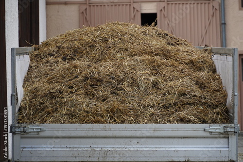 Photos horse manure on a trailer