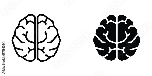 Contrast of human brain hemispheres depicted in black and white styles