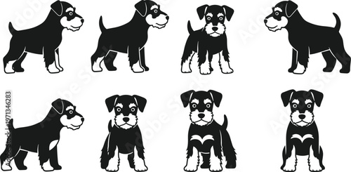 Cute Puppy Vector Set Showing Different Poses of Black and White Dogs Standing, Sitting, and Facing Forward Illustrations for Pets, Cartoon, and Animal Designs