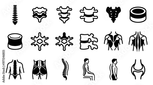 Medical Human Spine Anatomy Glyph Icons - Vertebrae, Discs, Back Muscles  Posture Set