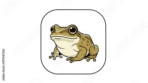 Green tree frog sitting calmly inside a rounded square frame on white background, nature illustration for educational materials.