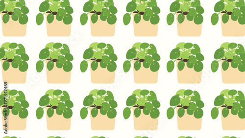 Seamless pattern with pilea peperomioides plants in beige pots on white background, trendy houseplant texture for home goods.