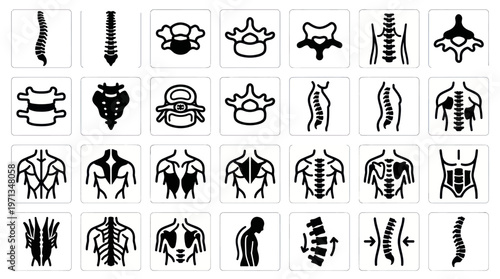 Medical Spine and Back Anatomy Glyph Icons Set. Chiropractic and Orthopedic Health Symbols.