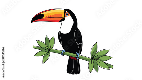 Vibrant illustration of a colorful toucan perched on a green bamboo branch with leaves isolated on a clean white background.