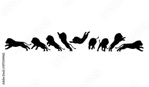 Lion jumping motion sequence silhouettes wild animal action poses vector set isolated on white background