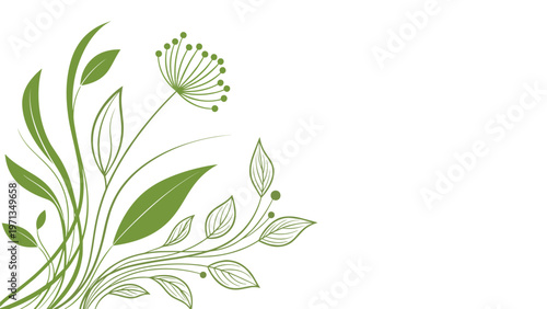 Elegant green floral illustration featuring leaves and wild flowers in a corner arrangement on a white background.