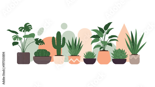 Row of various potted house plants including cactus and succulents against a soft geometric background for interior decoration ideas.