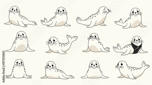 Collection of various seal and sea lion illustrations in different sitting and lying poses with one wearing a black scarf.