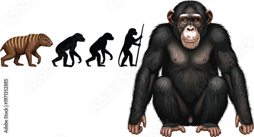 Primate and Human Evolution Vector Set with Chimpanzee Illustration, Early Human Silhouettes, Extinct Mammals, Educational and Scientific Wildlife Illustrations for Web, Apps, and Print