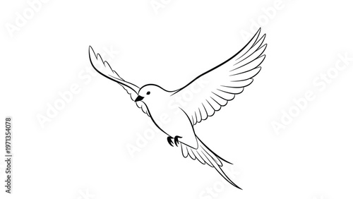 Minimalist black and white line drawing of a graceful bird in flight with its wings spread wide against a plain background.