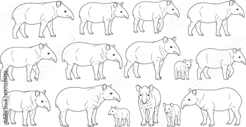 Tapir Vector Set Illustrations Showing Different Poses, Adult and Baby Tapirs in Black and White Line Art for Wildlife, Jungle, and Nature Designs