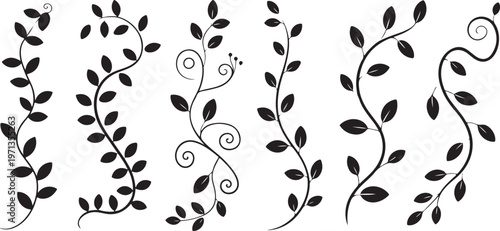 vine floral scroll vector divider frame silhouettes collection