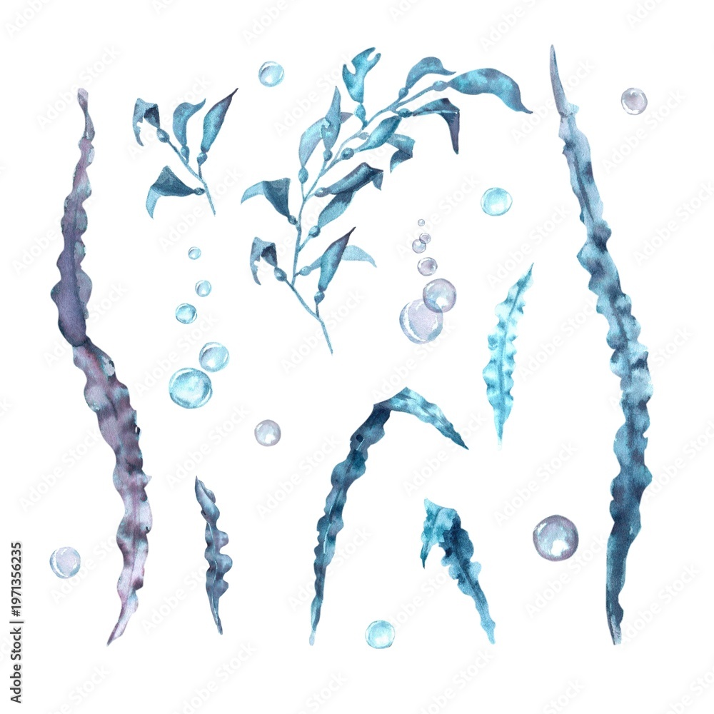 Fototapeta premium A collection of hand-drawn watercolor seaweed in blue, gray, and purple with leaves and bubbles on an isolated background. Simple clip art of underwater objects with room for design and decoration